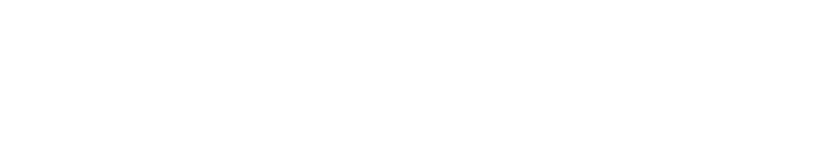 Flex Fitness Equipment NZ logo